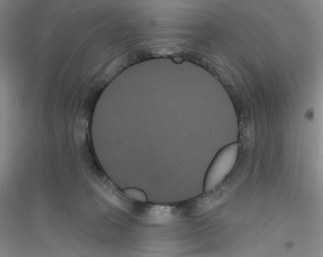 X0000116850227201002021052