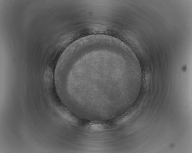 X0000116850228201002021052