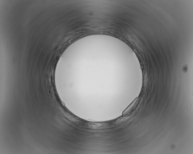 X0000116850229201002021052