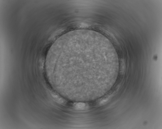 X0000116850230201002021052