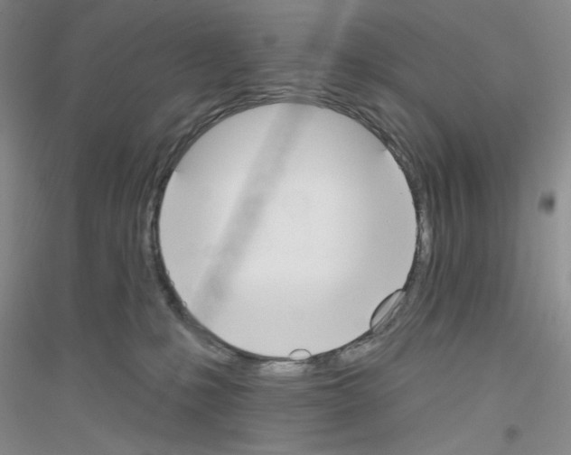 X0000116850231201002021052