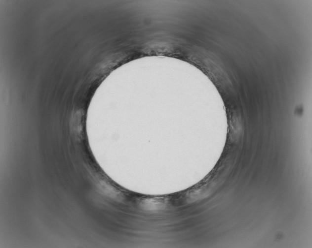 X0000116850232201002021052