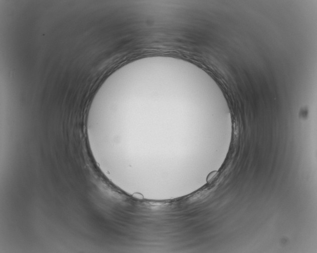 X0000116850233201002021052