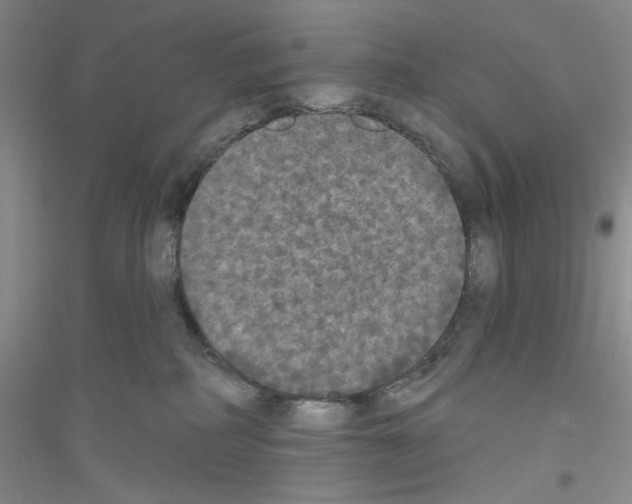 X0000116850234201002021052