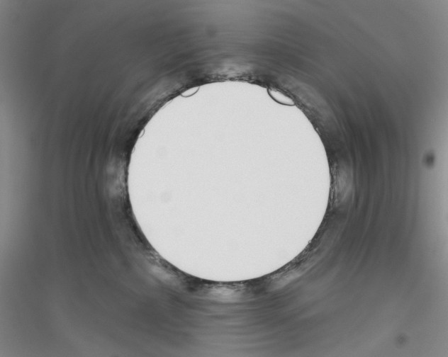 X0000116850236201002021052