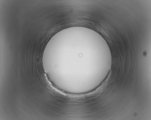 X0000116850237201002021052