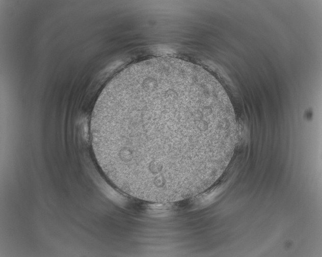 X0000116850238201002021052