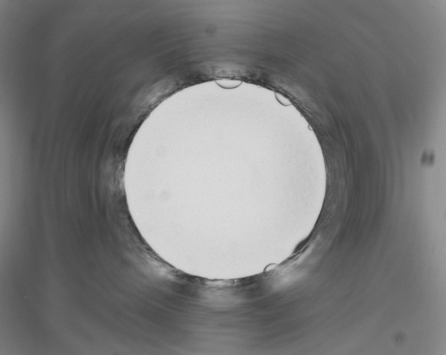 X0000116850240201002021052
