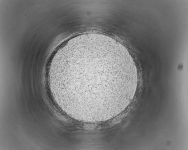 X0000116850242201002021051