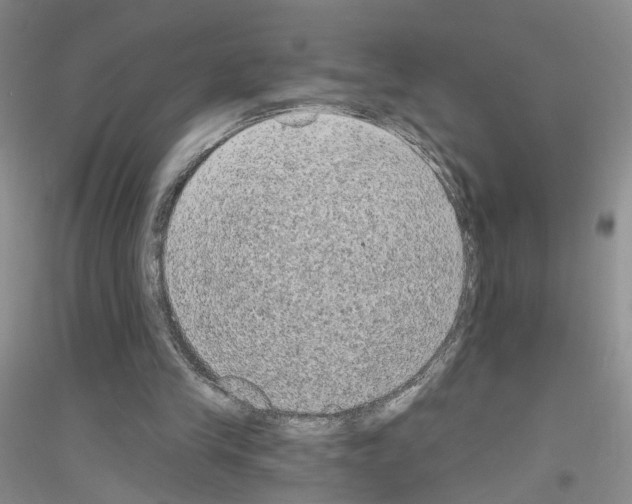 X0000116850245201002021051