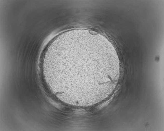 X0000116850246201002021051