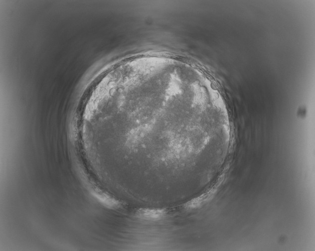 X0000116850247201002021051