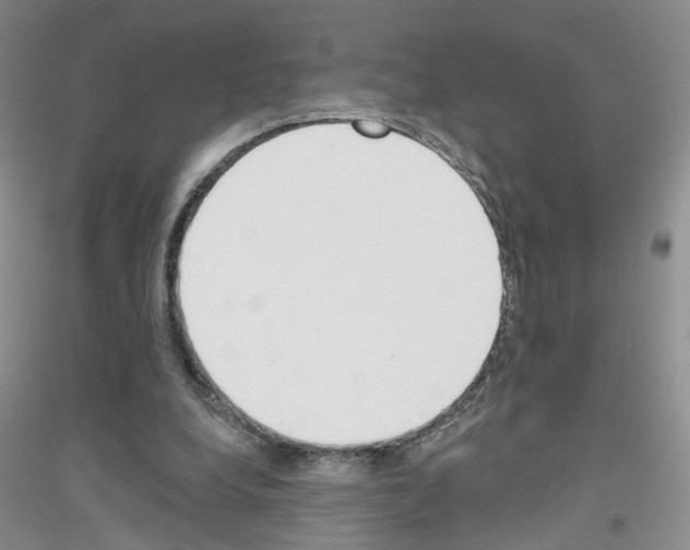X0000116850248201002021051