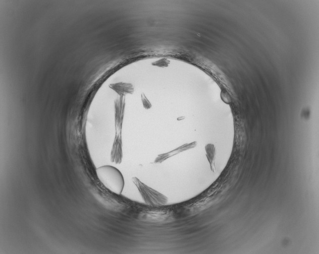 X0000116850251201002021051