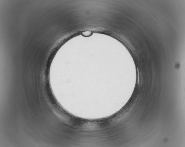 X0000116850252201002021051