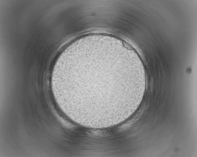 X0000116850253201002021051