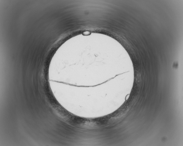 X0000116850256201002021051