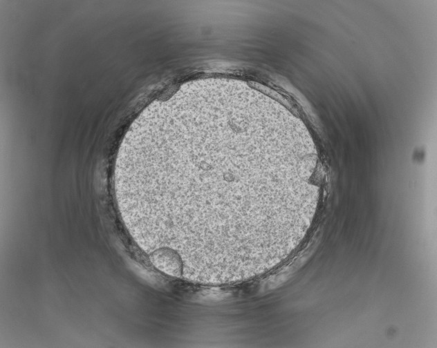 X0000116850257201002021051