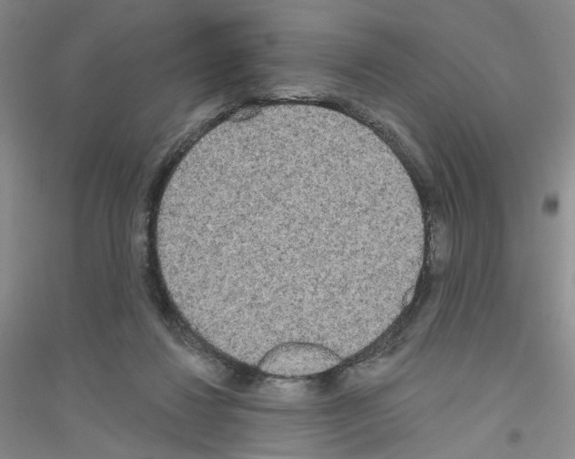 X0000116850260201002021051