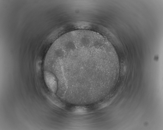X0000116850263201002021051
