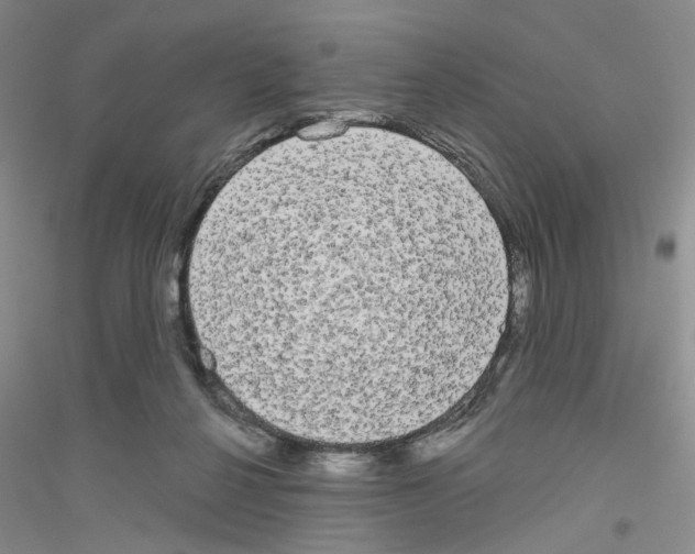 X0000116850264201002021051