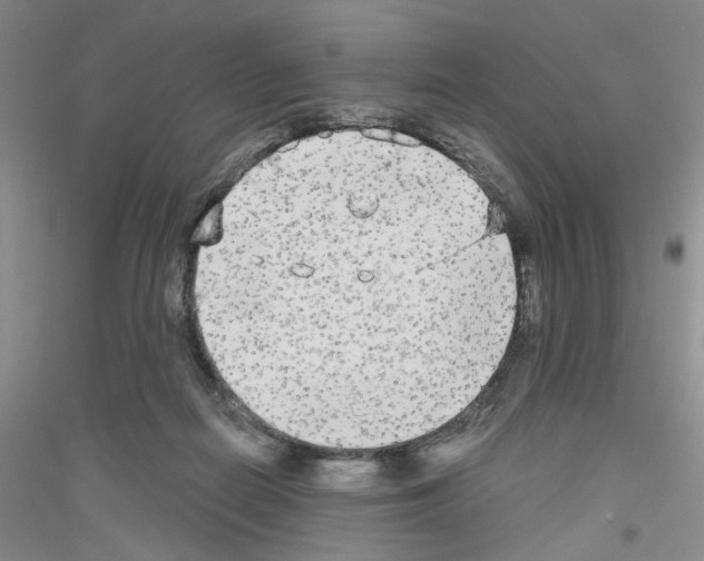 X0000116850266201002021051