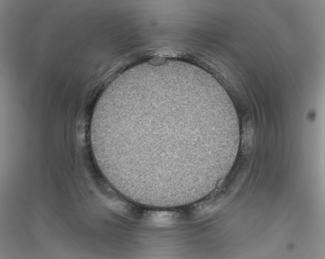 X0000116850268201002021051