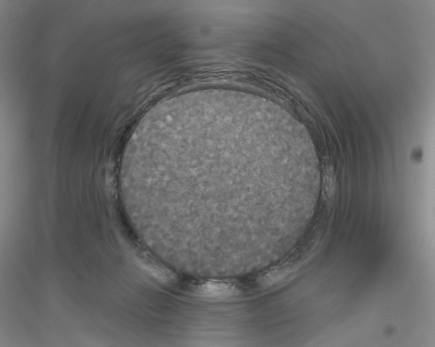 X0000116850270201002021051