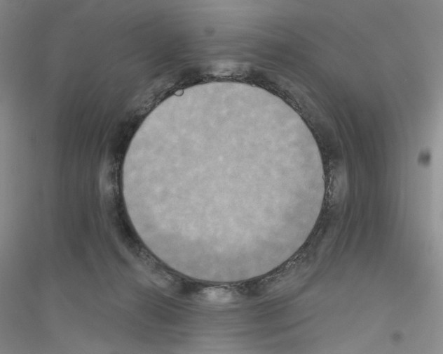 X0000116850272201002021051