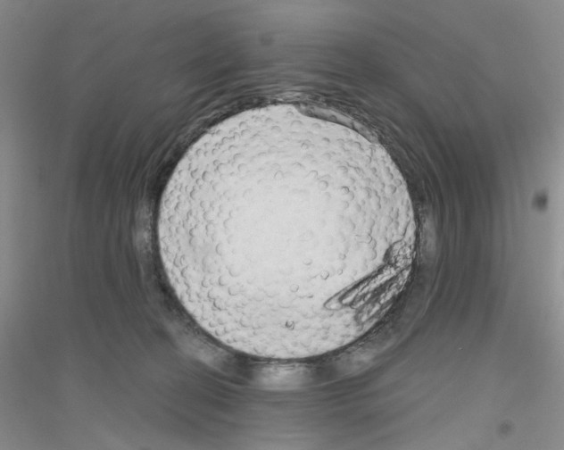 X0000116850274201002021051