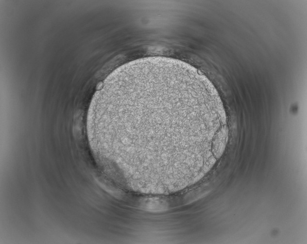X0000116850275201002021051