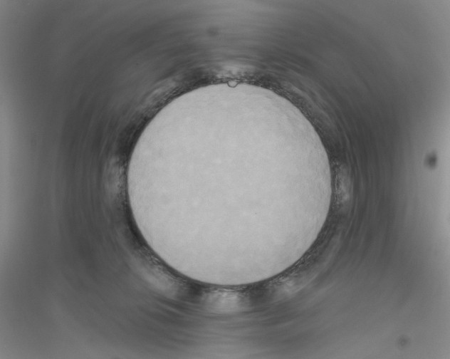 X0000116850276201002021051