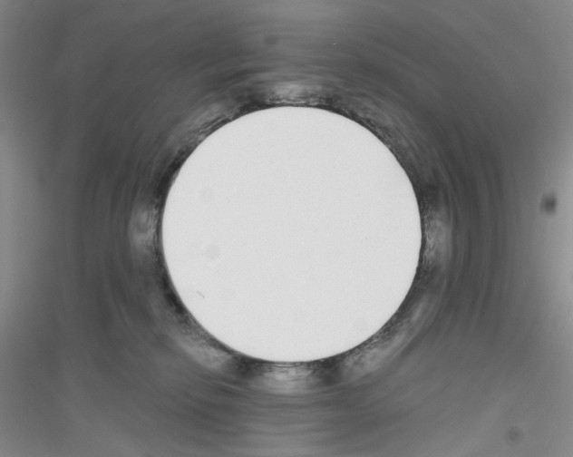 X0000116850278201002021052