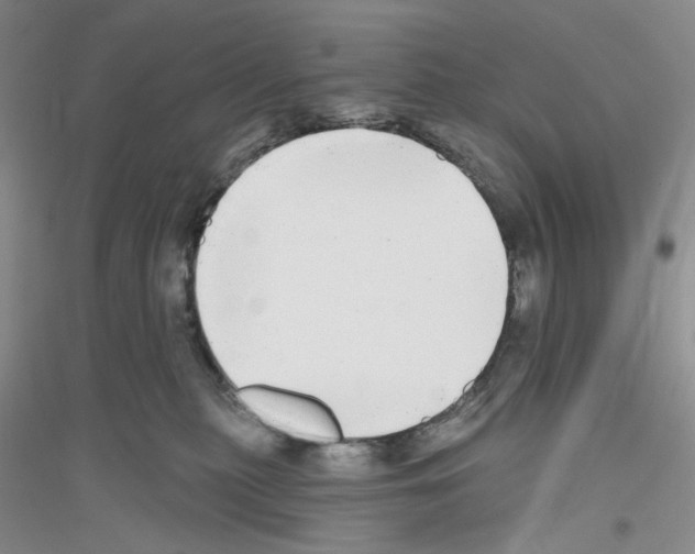 X0000116850279201002021052