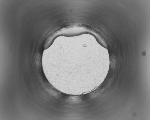 X0000116850280201002021052