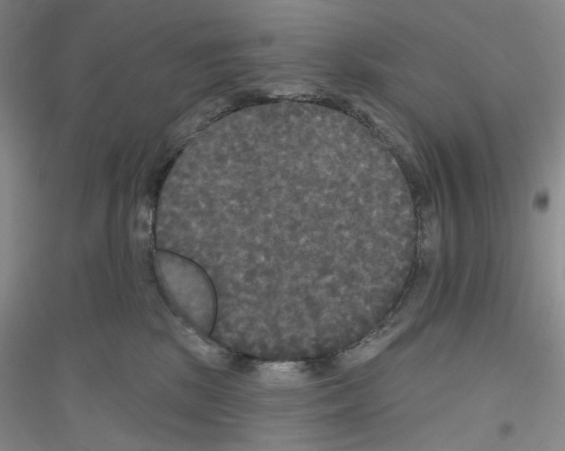 X0000116850281201002021052