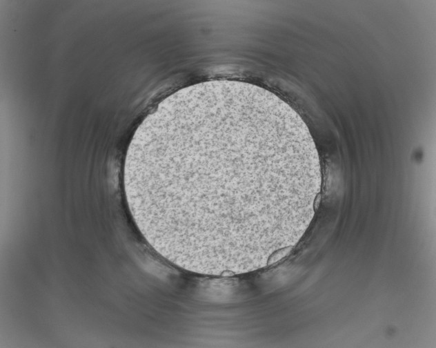 X0000116850282201002021052