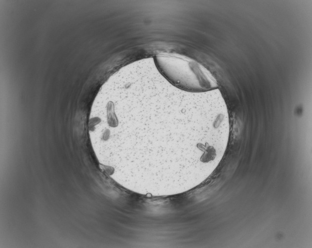 X0000116850283201002021052