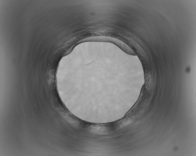 X0000116850284201002021052