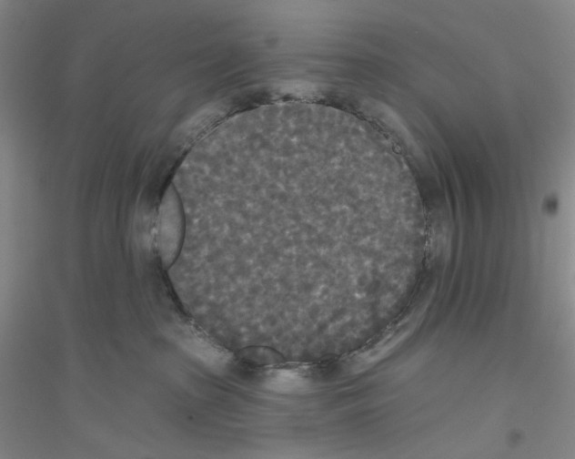 X0000116850285201002021052