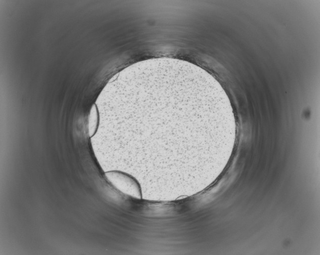 X0000116850286201002021052