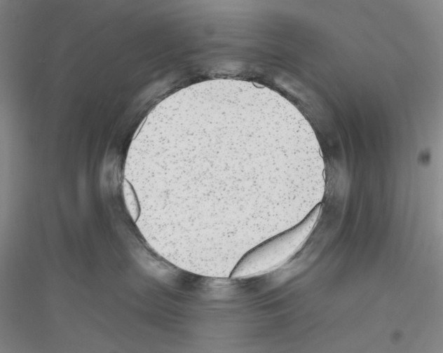 X0000116850287201002021052