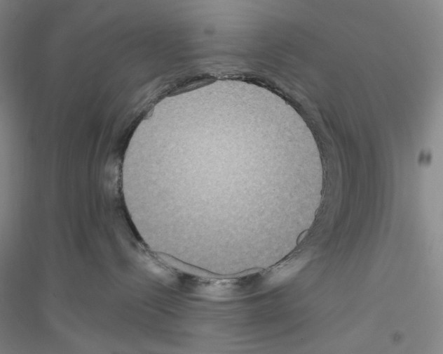 X0000116850288201002021052