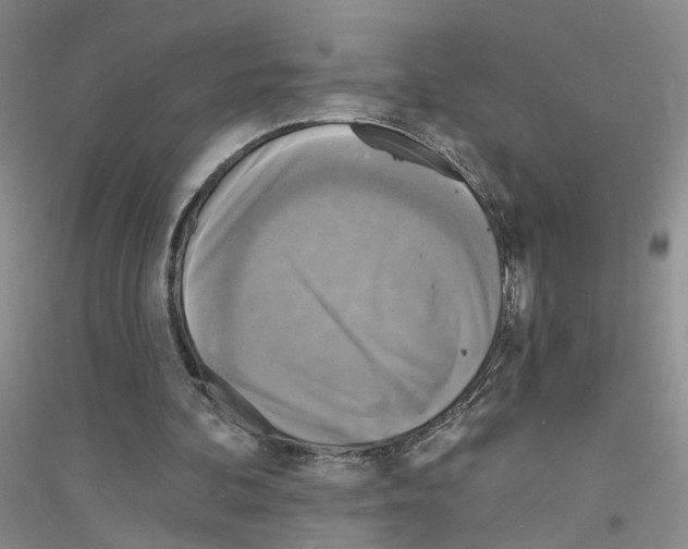X0000116850292201002021051