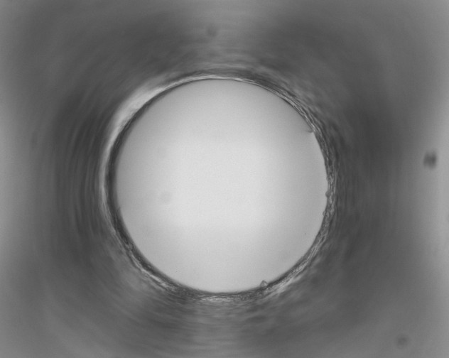 X0000116850294201002021051