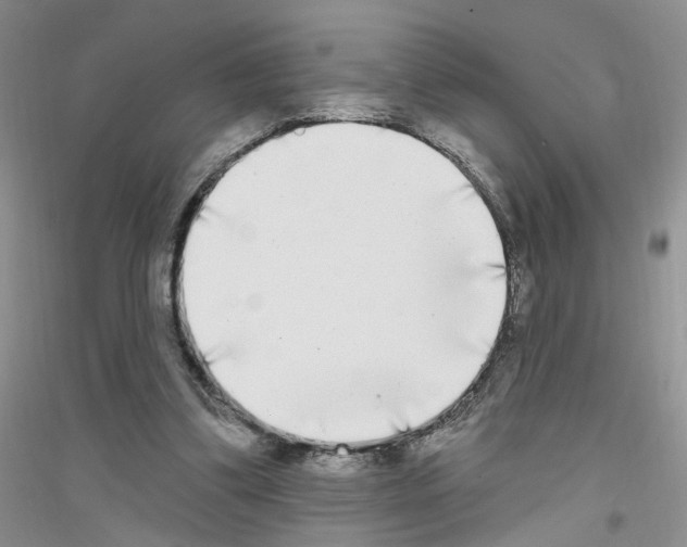 X0000116850299201002021051