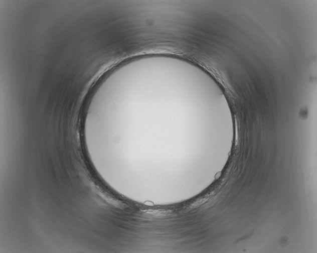 X0000116850300201002021051