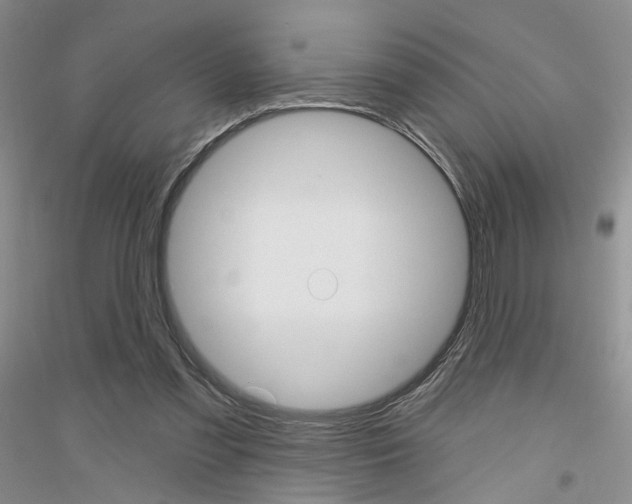 X0000116850301201002021051