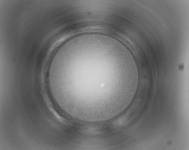 X0000116850302201002021051