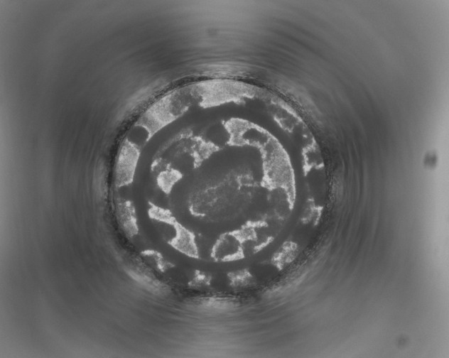 X0000116850303201002021051